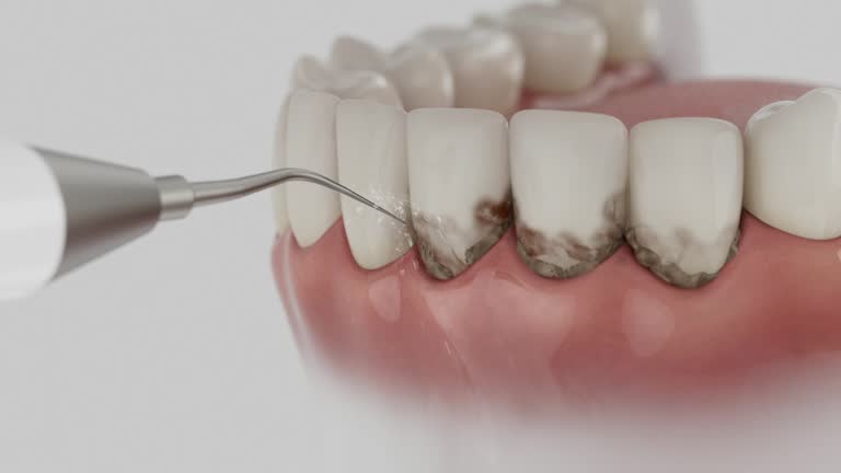 Reliable Dental contractor in Cottage City, MD by Dentist Open Now